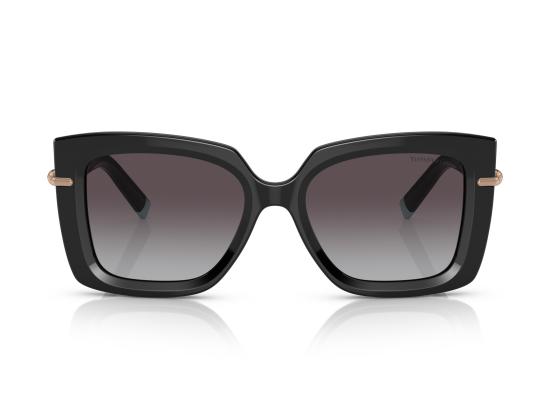 26FW 티파니앤코 선글라스 0TF4199 BLACK - TIFFANY & CO