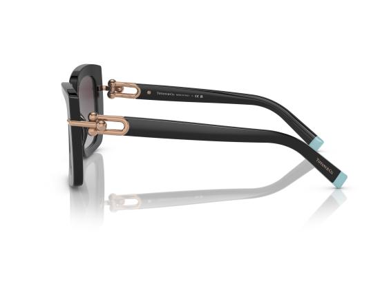 26FW 티파니앤코 선글라스 0TF4199 BLACK - TIFFANY & CO