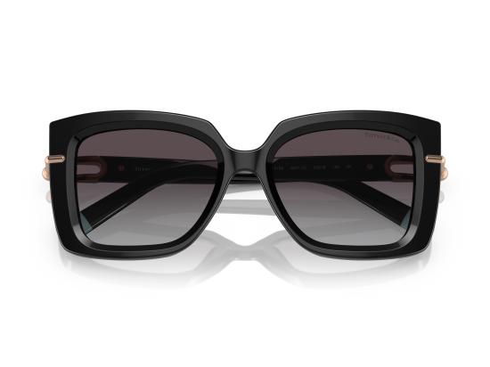 26FW 티파니앤코 선글라스 0TF4199 BLACK - TIFFANY & CO