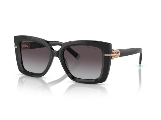 26FW 티파니앤코 선글라스 0TF4199 BLACK - TIFFANY & CO