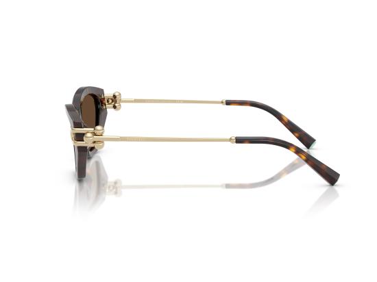 26FW 티파니앤코 선글라스 0TF4231U BROWN - TIFFANY & CO