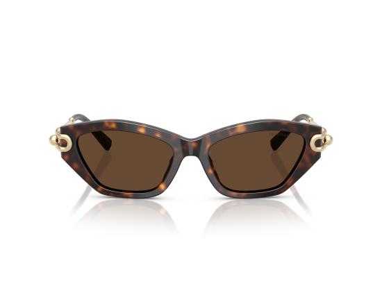 26FW 티파니앤코 선글라스 0TF4231U BROWN - TIFFANY & CO