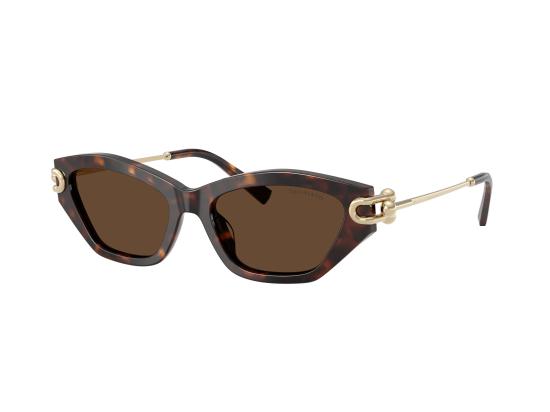 26FW 티파니앤코 선글라스 0TF4231U BROWN