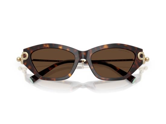 26FW 티파니앤코 선글라스 0TF4231U BROWN - TIFFANY & CO