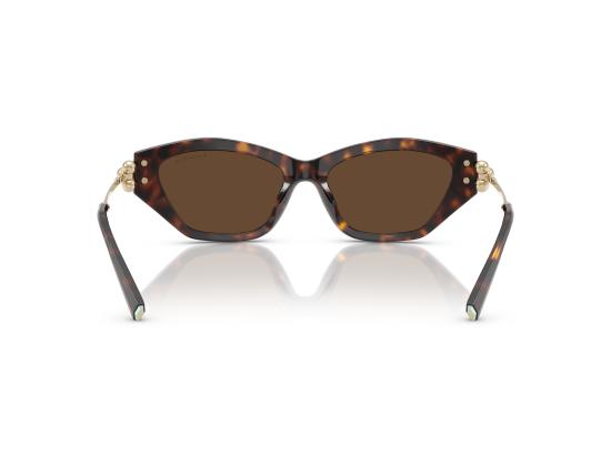 26FW 티파니앤코 선글라스 0TF4231U BROWN - TIFFANY & CO