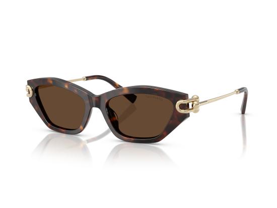26FW 티파니앤코 선글라스 0TF4231U BROWN - TIFFANY & CO