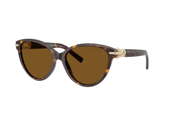 26FW 티파니앤코 선글라스 0TF4261 BROWN