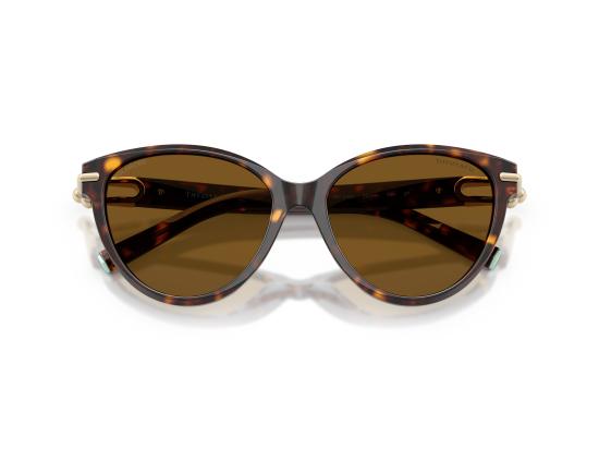 26FW 티파니앤코 선글라스 0TF4261 BROWN - TIFFANY & CO