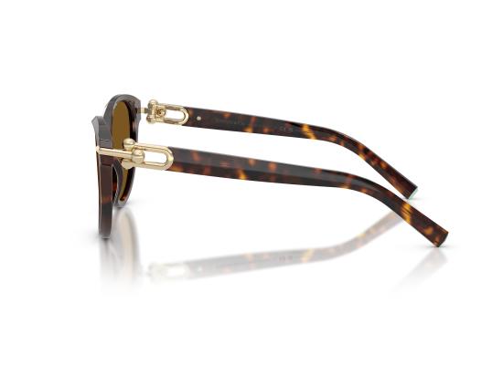 26FW 티파니앤코 선글라스 0TF4261 BROWN - TIFFANY & CO