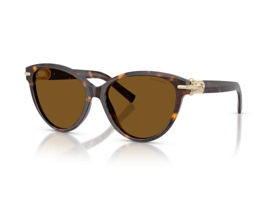26FW 티파니앤코 선글라스 0TF4261 BROWN - TIFFANY & CO