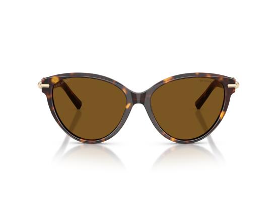 26FW 티파니앤코 선글라스 0TF4261 BROWN - TIFFANY & CO
