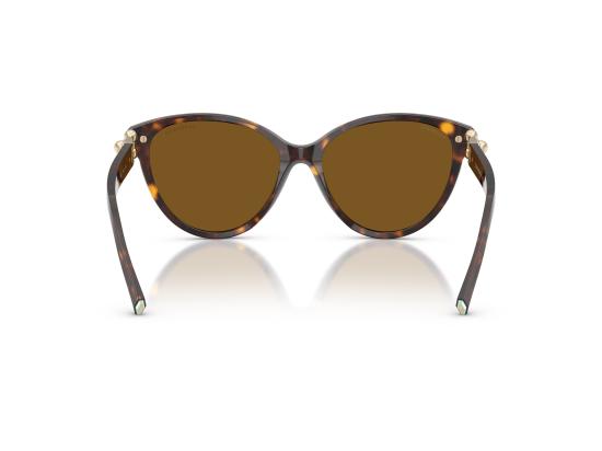 26FW 티파니앤코 선글라스 0TF4261 BROWN - TIFFANY & CO