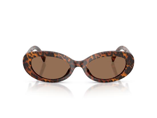 26FW 돌체앤가바나 선글라스 0DG4537 BROWN - DOLCE & GABBANA