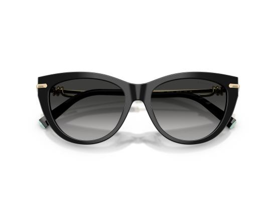 26FW 티파니앤코 선글라스 0TF4253 BLACK - TIFFANY & CO