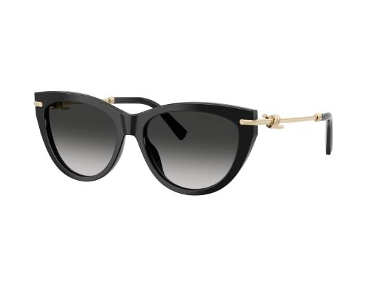 26FW 티파니앤코 선글라스 0TF4253 BLACK