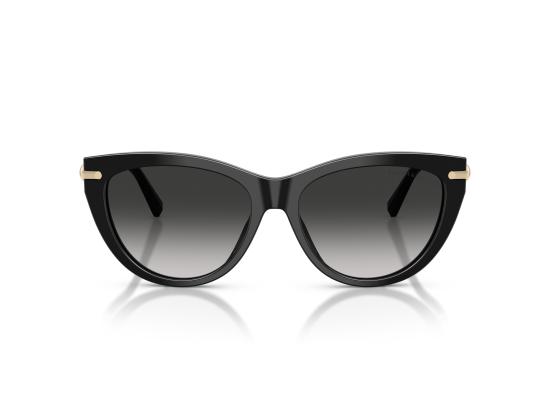 26FW 티파니앤코 선글라스 0TF4253 BLACK - TIFFANY & CO