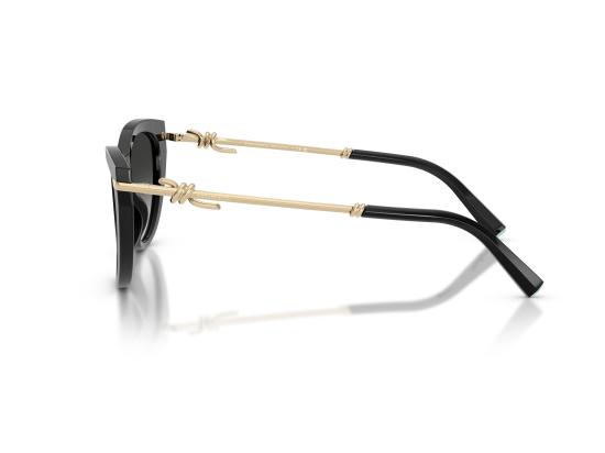 26FW 티파니앤코 선글라스 0TF4253 BLACK - TIFFANY & CO