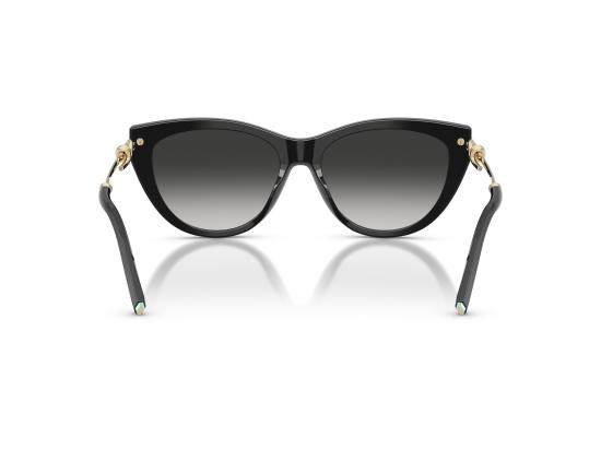 26FW 티파니앤코 선글라스 0TF4253 BLACK - TIFFANY & CO