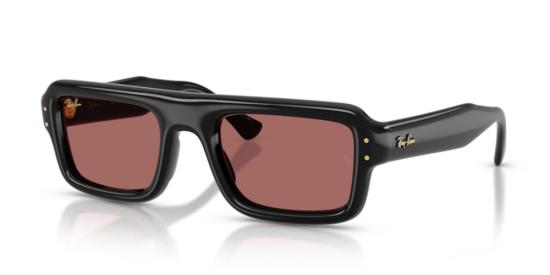 26FW 레이밴 선글라스 RB495460169 601 69 52 BLACK - RAY BAN