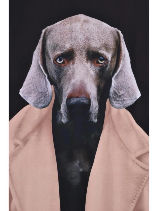 25FW 막스마라 머플러/스카프 베이지/블랙 실크 프린트 스카프 - MAX MARA
