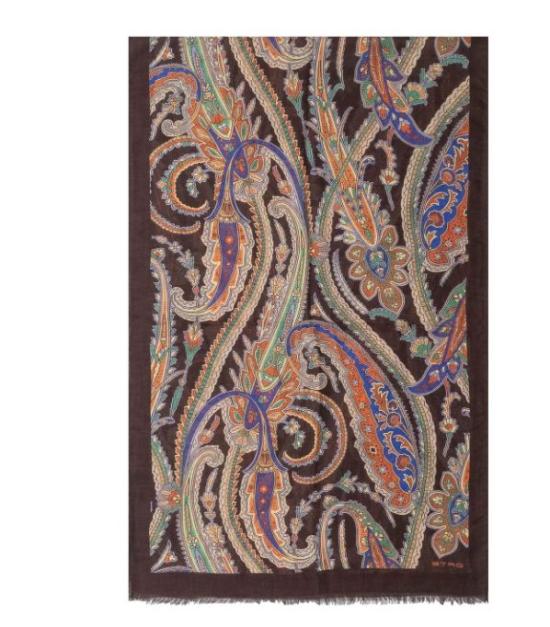 26FW 에트로 머플러/스카프 WATA0005AK1ELX0826 Dark brown - ETRO