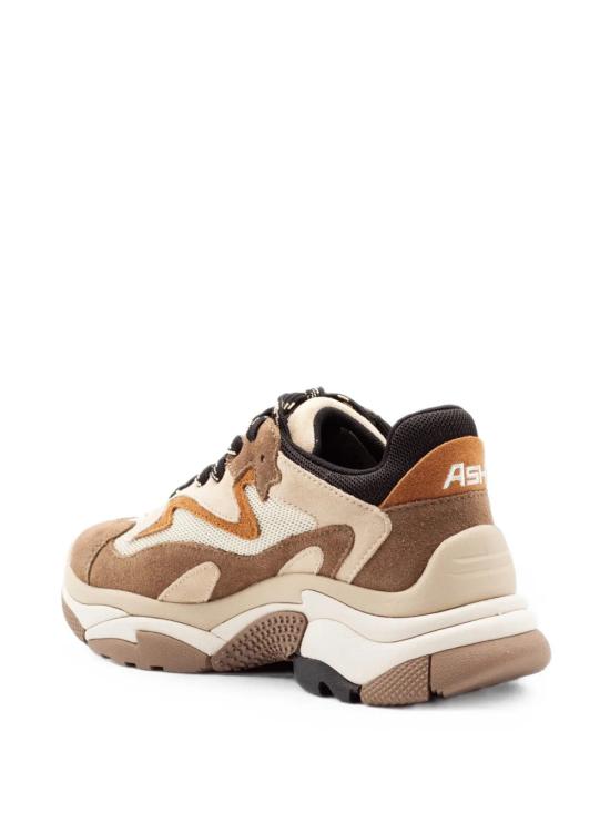 26FW 아쉬 어딕트 스니커즈 ADDICT02FANDANGOCAPPUCC MARRONE - ASH