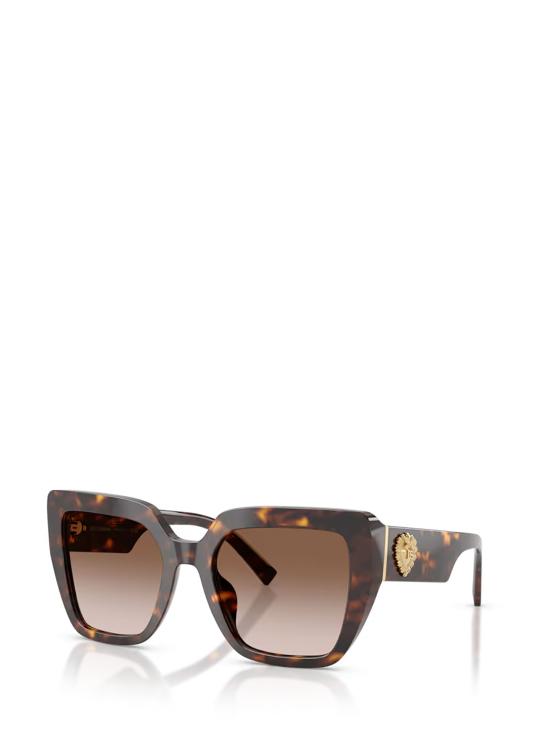 26FW 돌체앤가바나 선글라스 DG4538 502 13 HAVANA - DOLCE & GABBANA