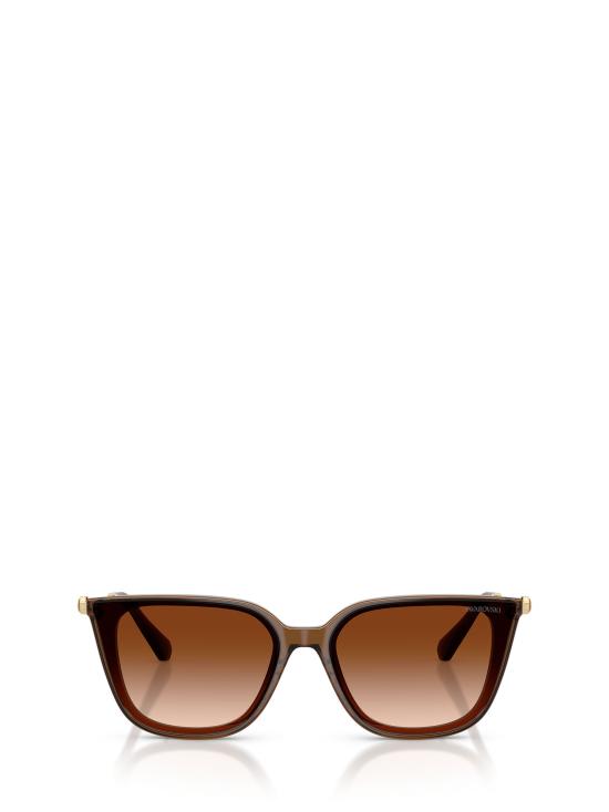 26FW 스와로브스키 선글라스 SK6054D 108474 TRANSPARENT BROWN