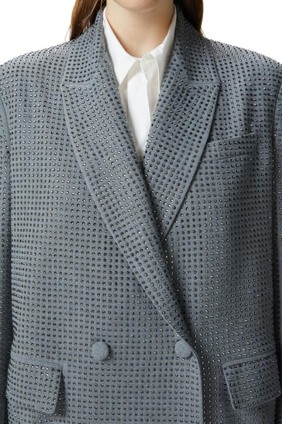  핑코 자켓 8057769668233 Grey - PINKO