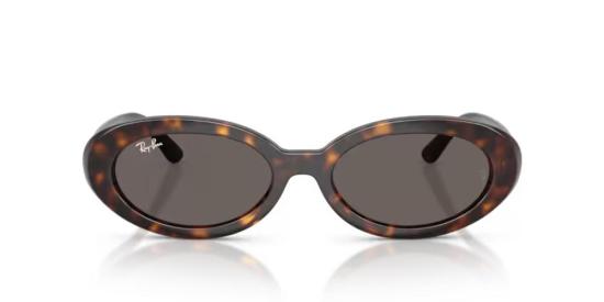 26SS 레이밴 선글라스 RB2223902B1 Havana 54 BROWN