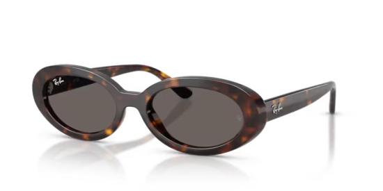 26SS 레이밴 선글라스 RB2223902B1 Havana 54 BROWN - RAY BAN