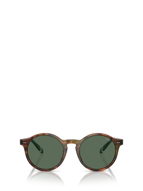 26FW 폴로 랄프로렌 선글라스 PH4204U 501771 SHINY BROWN TORTOISE