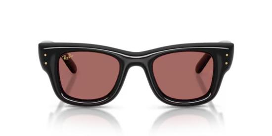 26SS 레이밴 선글라스 RB494060169 60169 Polido Preto 50 BLACK