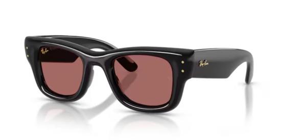 26SS 레이밴 선글라스 RB494060169 60169 Polido Preto 50 BLACK - RAY BAN