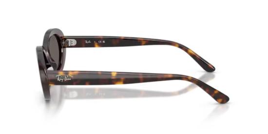 26SS 레이밴 선글라스 RB2223902B1 Havana 54 BROWN - RAY BAN