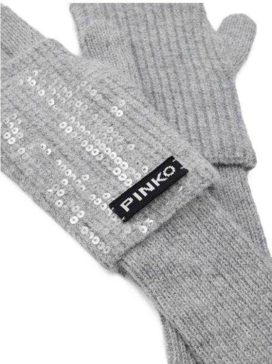 26FW 핑코 장갑 107254GARDENIAA3EJI42 GRIGIO - PINKO