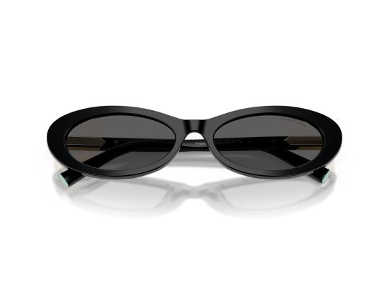 26FW 티파니앤코 선글라스 0TF4250 BLACK - TIFFANY & CO