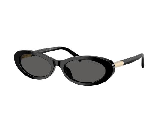 26FW 티파니앤코 선글라스 0TF4250 BLACK