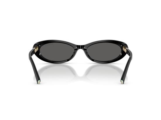 26FW 티파니앤코 선글라스 0TF4250 BLACK - TIFFANY & CO