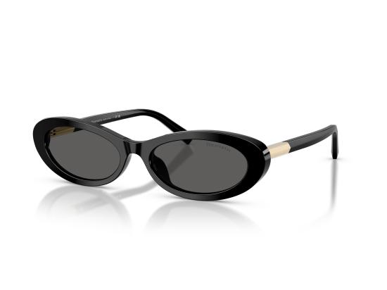 26FW 티파니앤코 선글라스 0TF4250 BLACK - TIFFANY & CO