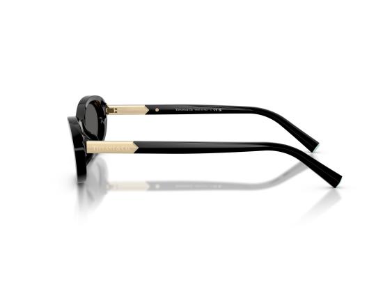 26FW 티파니앤코 선글라스 0TF4250 BLACK - TIFFANY & CO