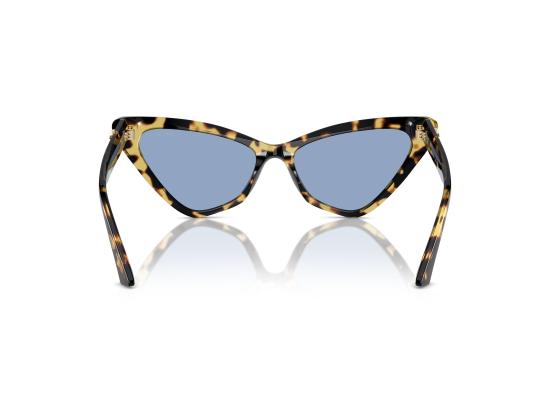 26FW 지미추 선글라스 0JC5008 BROWN - JIMMY CHOO