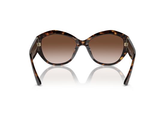 26FW 지미추 선글라스 0JC5013U BROWN - JIMMY CHOO