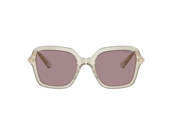 26FW 스와로브스키 선글라스 0SK6040 BROWN - SWAROVSKI