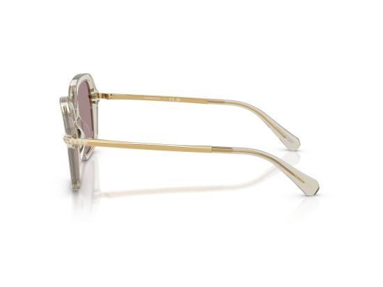 26FW 스와로브스키 선글라스 0SK6040 BROWN - SWAROVSKI
