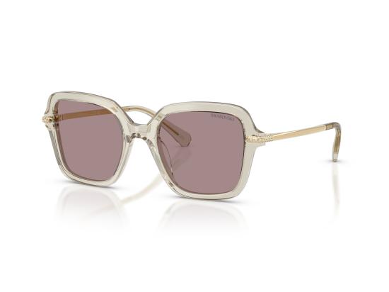 26FW 스와로브스키 선글라스 0SK6040 BROWN - SWAROVSKI