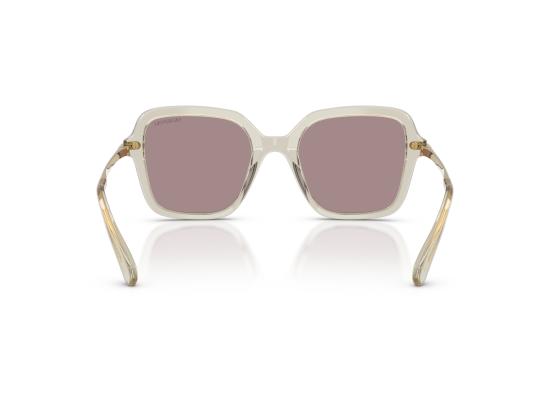 26FW 스와로브스키 선글라스 0SK6040 BROWN - SWAROVSKI