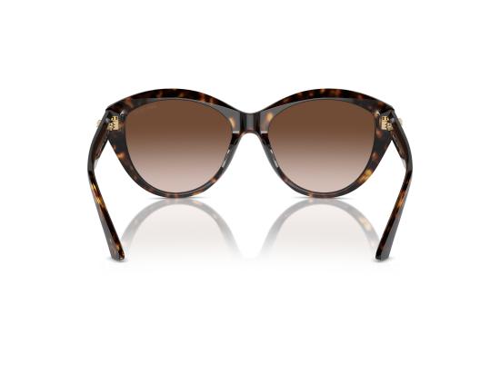 26FW 지미추 선글라스 0JC5007 BROWN - JIMMY CHOO
