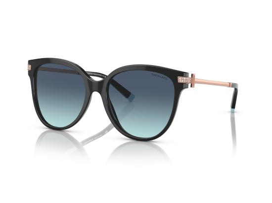 26FW 티파니앤코 선글라스 0TF4193B BLACK - TIFFANY & CO