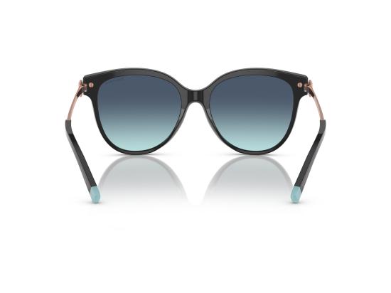 26FW 티파니앤코 선글라스 0TF4193B BLACK - TIFFANY & CO